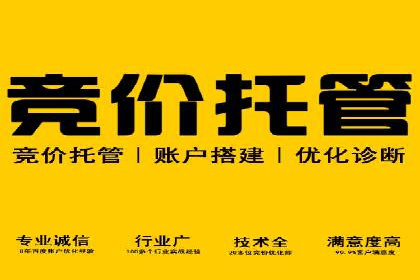 掌握sem推广竞价技巧，打造高效广告策略